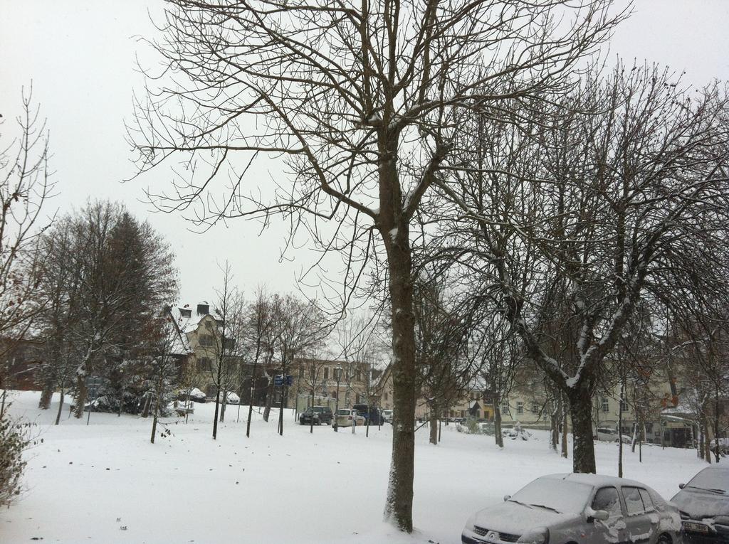 Apartments Stein โบจิดาร์ ภายนอก รูปภาพ